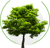 金年会金字招牌